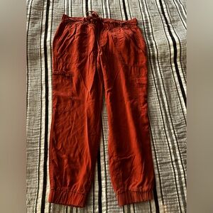 Banana Republic Capris